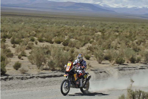 Cyril Despres Dakar 2013