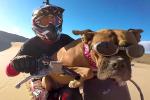 Lexus et son maitre en motocross dans les dunes Little Sahara