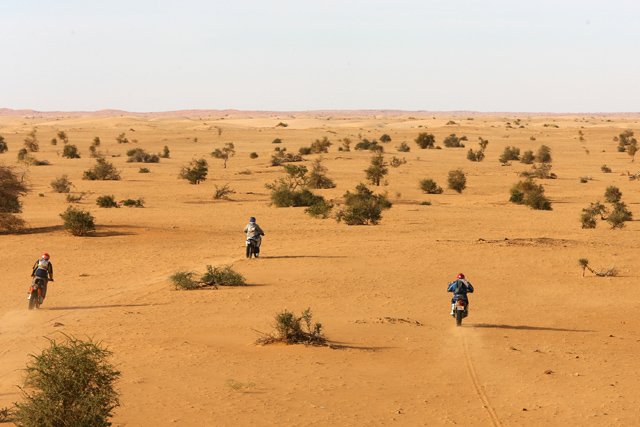 Africa Race Moto