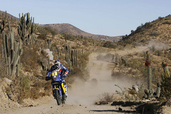 Cyril Despres rallye dakar 2010 moto