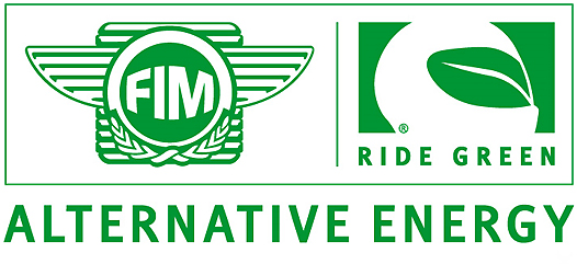FIM electric energy 2010