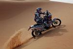 Championnat du Monde FIM des Rallyes Tout-Terrain, Abou Dhabi, rien n'est jou