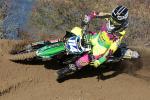 Livia Lancelot, manager et pilote en 2014