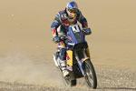 Rallye Raid 2009, 12e Rallye des Pharaons/Egypte