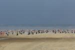 Enduropale du Touquet 2013 - C'est ce week-end, le 2 et 3 fvrier 