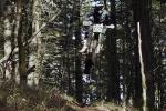 Rory Sullivan, le bcheron de l'enduro
