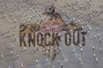 Le Red Bull Knock Out, l'vnement du week-end  ne pas rater