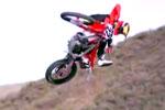 Des whips qui vont vous donner des frissons dans le dos