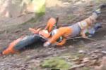 Vido compile de chutes en enduro, quand a veut pas monter, a veut pas..