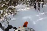 Grosse surprise d'un pilote dans une forêt enneigée