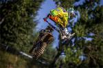 Vido du GP motocross MX3 Slovaquie Senkvice 2013