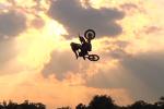 Un festival de whips